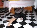 � drepe gr�papir er G�Y!