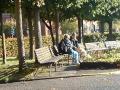 En annen hundefamilie venter i skoleg�rden p� at det blir tid for kurs