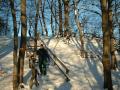 Trappene (p� vei ned)