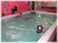 Sv�mmehall p� hundehotellet!