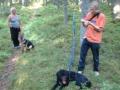 Marius og Neptun trener kantarells�k mens Turid og Xantara ser p�