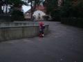 Elefant i bakgrunnen