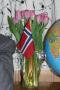 17: Blomster