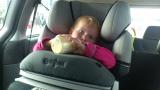 I bilen p� vei tilbake til b�ten